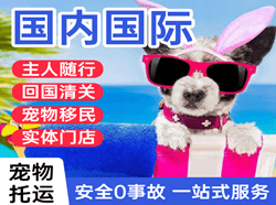 吴圩航空货运国际宠物托运 【国